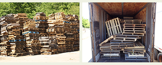 Wood Waste Removal--What we can take